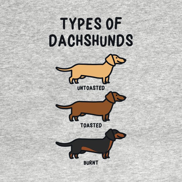 Types of Dachshunds by redbarron
